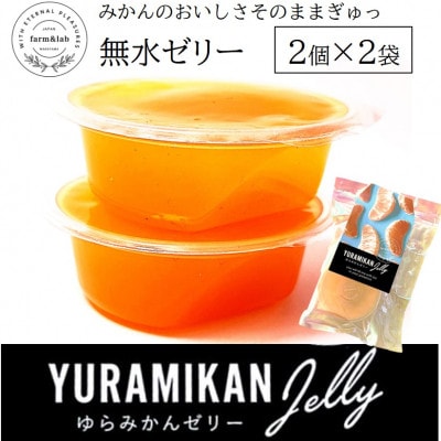みかんの美味しさそのまま!無水みかんゼリー 2個セット×2袋(スプーン付)