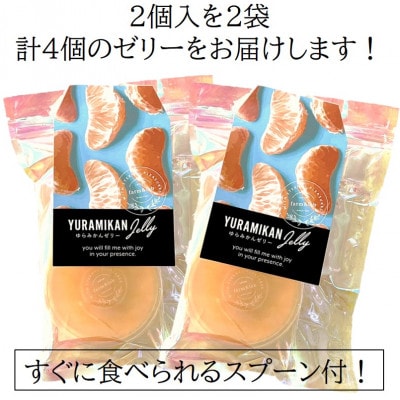 みかんの美味しさそのまま!無水みかんゼリー 2個セット×2袋(スプーン付)