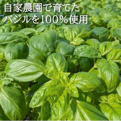 濃厚・無添加　バジルソース(ジェノベーゼソース)　瓶　100g×7本