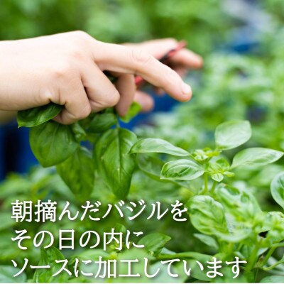 濃厚・無添加　バジルソース(ジェノベーゼソース)　瓶　100g×7本