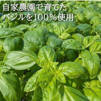 濃厚・無添加　バジルソース(ジェノベーゼソース)　瓶　100g×10本