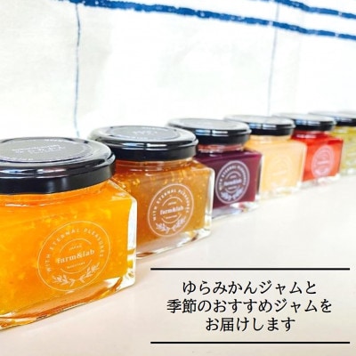 【無添加】和歌山産 季節のジャム3種セット (ゆらみかんジャム+季節のおすすめジャム)