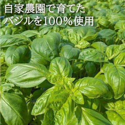 濃厚・無添加　バジルソース(ジェノベーゼソース)　パックタイプ　100g×3袋