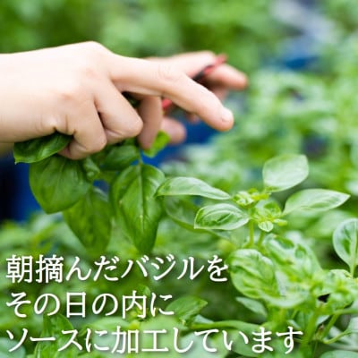 濃厚・無添加　バジルソース(ジェノベーゼソース)　パックタイプ　100g×3袋