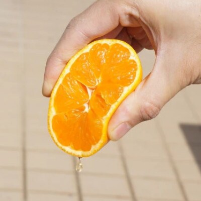 みかん好きのあなたへ!みかんをつかったおいしいティータイムセット(みかんジュースとゼリーのセット)