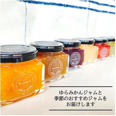 【無添加】みかん農家がつくった「みかんバター2個と季節のジャム4個」のおいしい朝食セット(計6個入)