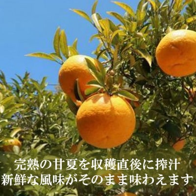 お鍋にはこれ!湯浅醤油を使用した「夏みかんポン酢」1本