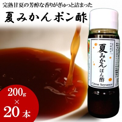 お鍋にはこれ!湯浅醤油を使用した「夏みかんポン酢」20本