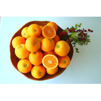 主井農園のバレンシアオレンジ　お試し用1kg