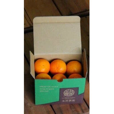 主井農園のセミノール　お試し用　1kg　