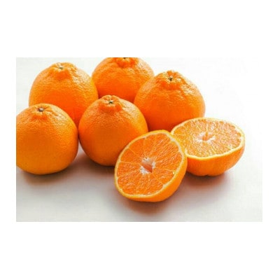 主井農園の不知火ご家庭用4.5kg