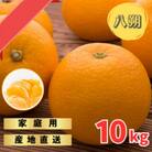 和歌山産　家庭用 完熟木なりハッサクみかん　約10kg　箱入り　M～2Lサイズ