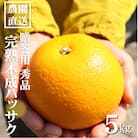 和歌山産　完熟木なりハッサクみかん　贈答用　秀品　約5kg箱入り　M～2Lサイズ