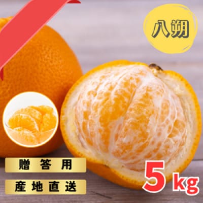 和歌山産　完熟木なりハッサクみかん　贈答用　秀品　約5kg箱入り　M～2Lサイズ