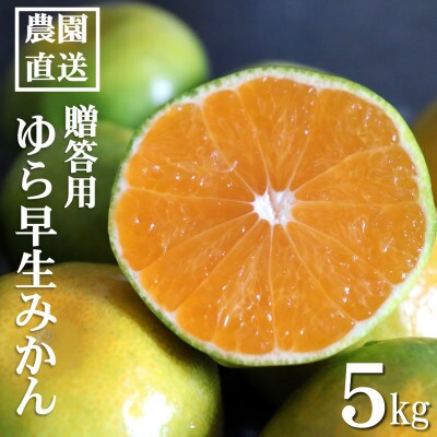 【先行受付】和歌山産　ゆら早生みかん　贈答用　秀品　約5kg箱入り　2S～2Lサイズ