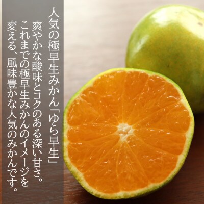 【先行受付】和歌山産　ゆら早生みかん　贈答用　秀品　約5kg箱入り　2S～2Lサイズ