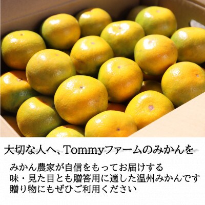 【先行受付】和歌山産　ゆら早生みかん　贈答用　秀品　約5kg箱入り　2S～2Lサイズ