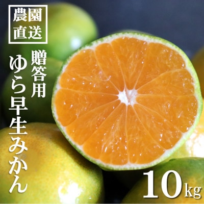 【先行受付】和歌山産　ゆら早生みかん　贈答用　秀品　約10kg箱入り　2S～2Lサイズ