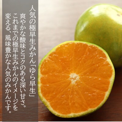 【先行受付】和歌山産　ゆら早生みかん　贈答用　秀品　約10kg箱入り　2S～2Lサイズ