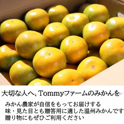【先行受付】和歌山産　ゆら早生みかん　贈答用　秀品　約10kg箱入り　2S～2Lサイズ