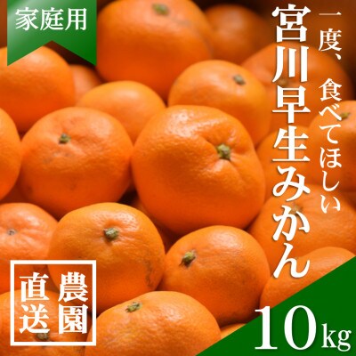 【先行受付】和歌山産　家庭用　宮川早生みかん　約10kg 2S～2Lサイズ【訳ありみかん】