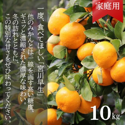 【先行受付】和歌山産　家庭用　宮川早生みかん　約10kg 2S～2Lサイズ【訳ありみかん】