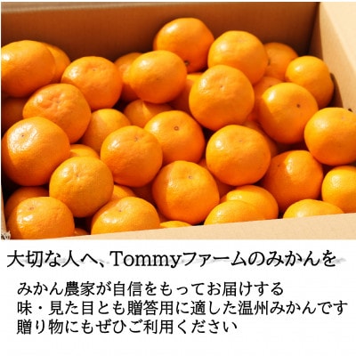 和歌山産　宮川早生　みかん　贈答用　秀品　約5kg箱入り　2S～2Lサイズ