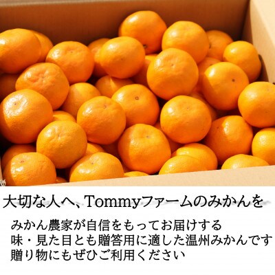 和歌山産　宮川早生　みかん　贈答用　秀品　約10kg箱入り　2S～2Lサイズ