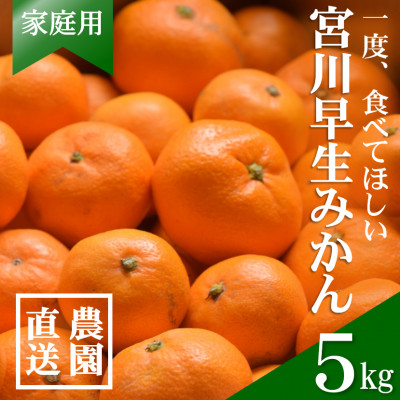 【先行受付】和歌山産　家庭用　宮川早生みかん　約5kg 2S～2Lサイズ【訳ありみかん】