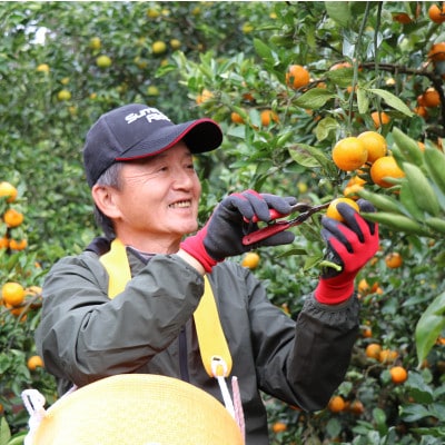 【先行受付】和歌山産　家庭用　宮川早生みかん　約5kg 2S～2Lサイズ【訳ありみかん】