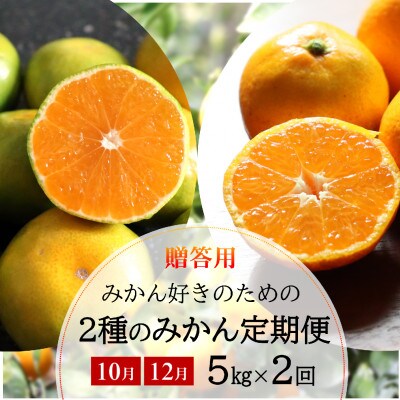 【発送月固定定期便】みかん好きに食べてほしい 2種のみかん定期便　各5kg【贈答用・秀品】全2回