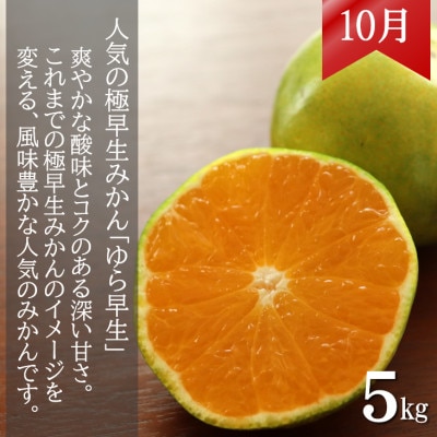 【発送月固定定期便】みかん好きに食べてほしい 2種のみかん定期便　各5kg【贈答用・秀品】全2回