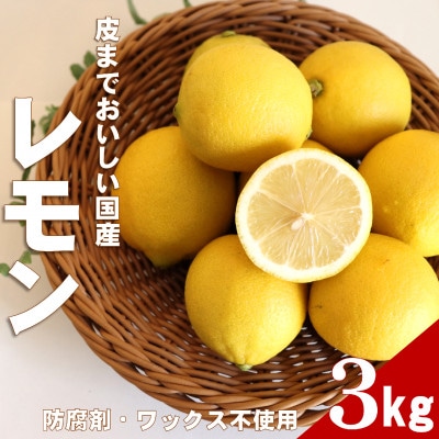 【ノーワックス】国産 紀州 レモン 約3kg(サイズおまかせ)