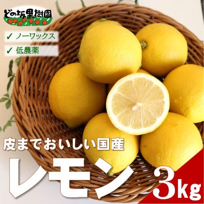 【ノーワックス】国産 紀州 レモン 約3kg(サイズおまかせ)　【★先行受付★2027年2月～発送】