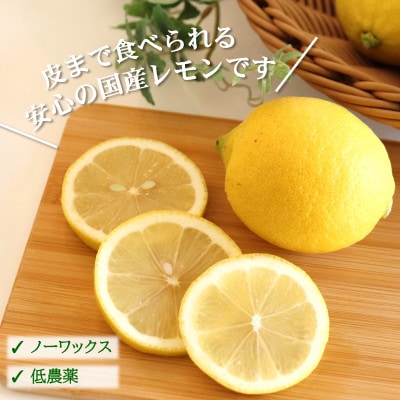 【ノーワックス】国産 紀州 レモン 約3kg(サイズおまかせ)　【★先行受付★2027年2月～発送】