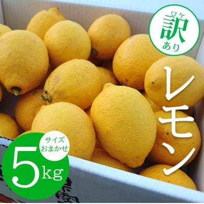 【ノーワックス】 訳あり 国産 紀州 レモン 約5kg (サイズおまかせ)