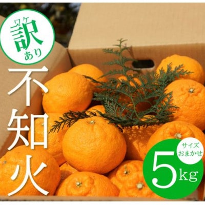 【訳あり】不知火(しらぬい・しらぬひ)　 約5kg (小玉中心) 【デコポンと同品種】