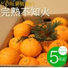 【2026年3月以降発送】不知火(しらぬい)　約5kg【サイズおまかせ】(デコポンと同品種の春柑橘)