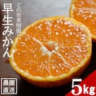 甘い!どの坂果樹園の早生みかん　約5kg【サイズおまかせ・畑のまんま規格】(先行受付)