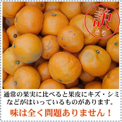 10月下旬より順次発送【先行受付】訳あり　どの坂果樹園のゆら早生みかん　5kg