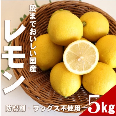 【ノーワックス】国産 紀州 レモン 約5kg(サイズおまかせ)