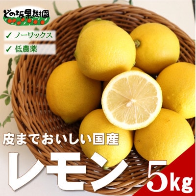 ★先行受付★【ノーワックス】国産 紀州 レモン 約5kg(サイズおまかせ)