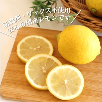 【ノーワックス】国産 紀州 レモン 約5kg(サイズおまかせ)