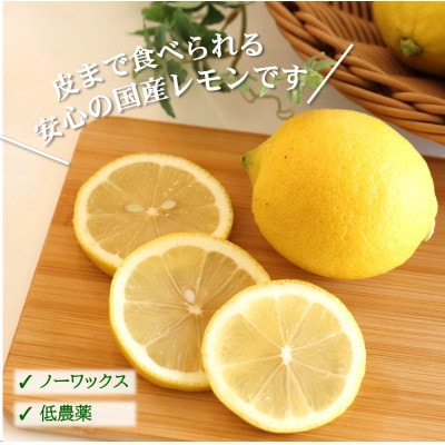★先行受付★【ノーワックス】国産 紀州 レモン 約5kg(サイズおまかせ)