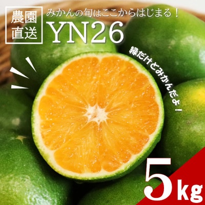 【先行受付】9月からみかんが楽しめる!極早生みかん YN26 約5kg(2026年9月中旬~出荷)