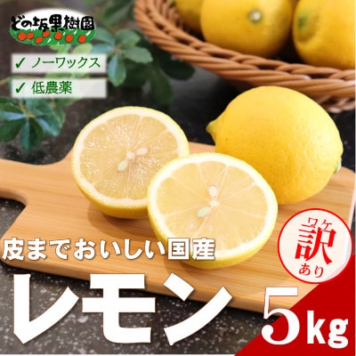 【ノーワックス】訳あり・ご家庭用 国産レモン 5kg (サイズおまかせ)【2027年2月以降発送】