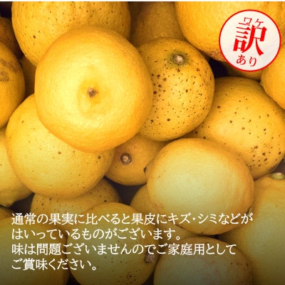 【ノーワックス】訳あり・ご家庭用 国産レモン 5kg (サイズおまかせ)【2027年2月以降発送】