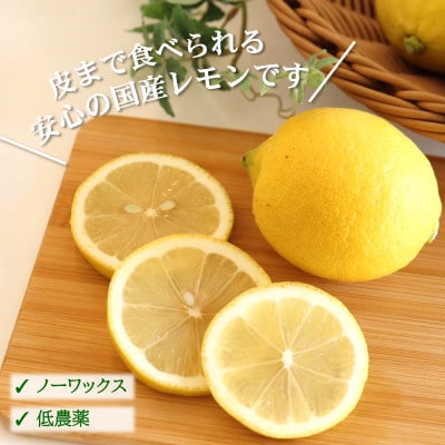 【ノーワックス】国産 紀州 レモン 約5kg(サイズおまかせ)