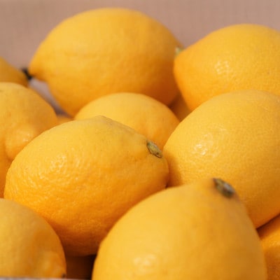 【ノーワックス】国産 紀州 レモン 約5kg(サイズおまかせ)