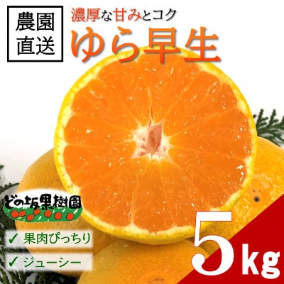 【2026年10月下旬～発送】濃い!どの坂果樹園のゆら早生みかん　約5kg(2S～Lサイズ)先行受付